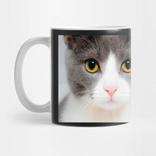 Grey and White Cat Face, Gifts Cat Lovers Mug